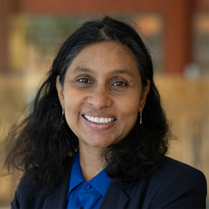 Devi Chetty | Federal Reserve Bank of Minneapolis