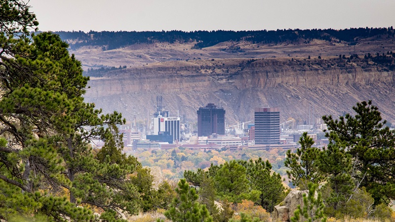 Billings view, downtown seen through trees in foreground