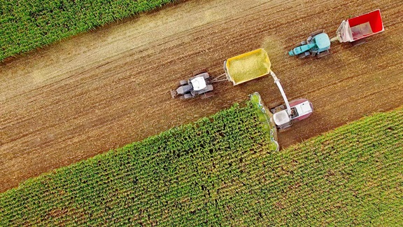 Agricultural outlook improves on good harvests, federal aid key image