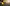 Construction update: COVID-19 and the fog machine key image