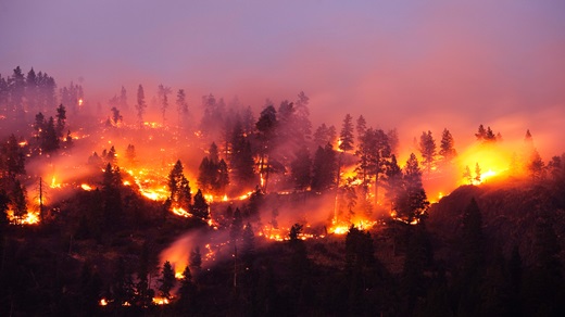 Another punishing wildfire season for the Ninth District article key image