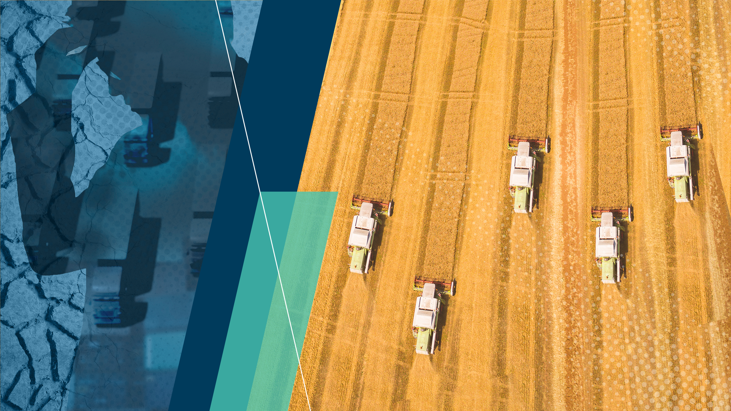 decorative key image