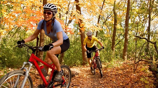 Two cyclists riding on a wooded trail