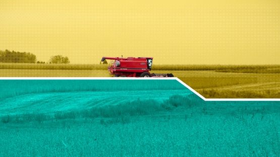 Combine harvesting a field overlaid with a chart graphic representing a downturn in incomes