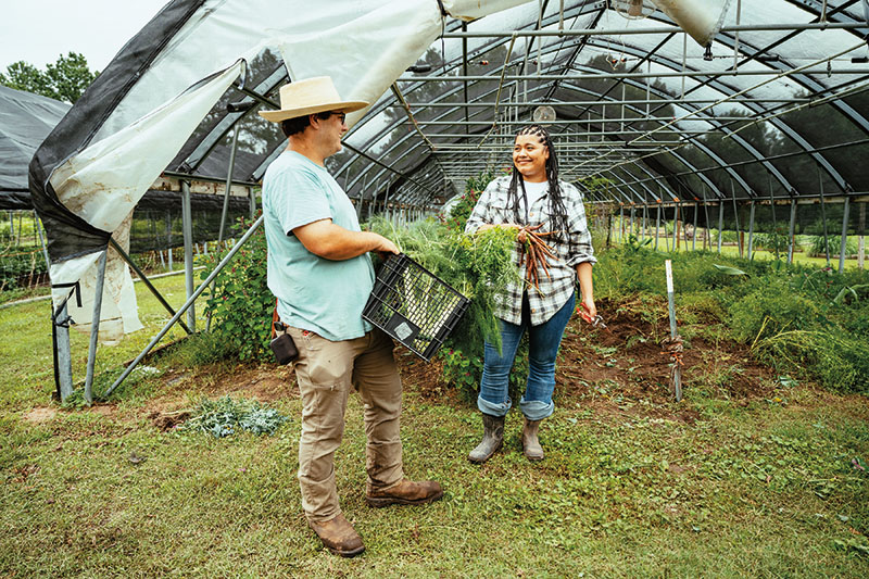 Farmers near greenhouse during harvesting of organic vegetables