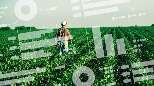 Farmer in a field
