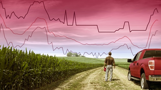 Farmer standing beside a cornfield is looking towards a red interest rate graph looming in the sky