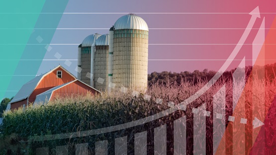 Ominous financial graphs overlaid over an image of a cornfield with silos and a red barn