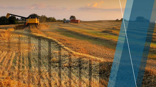 A harvester harvesting wheat during sunset with an overlaid graph showing decline