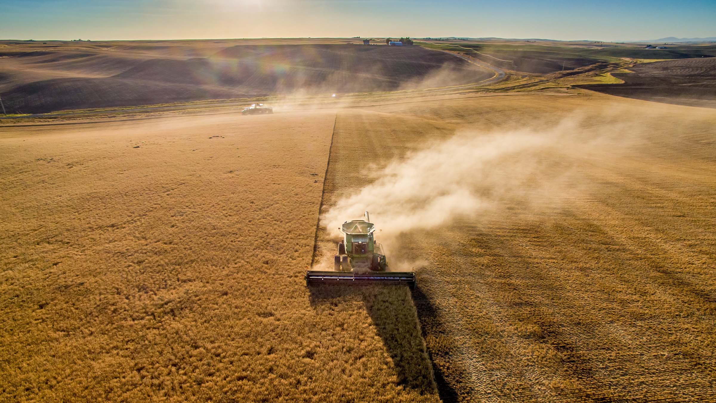 Combine harvesting a field