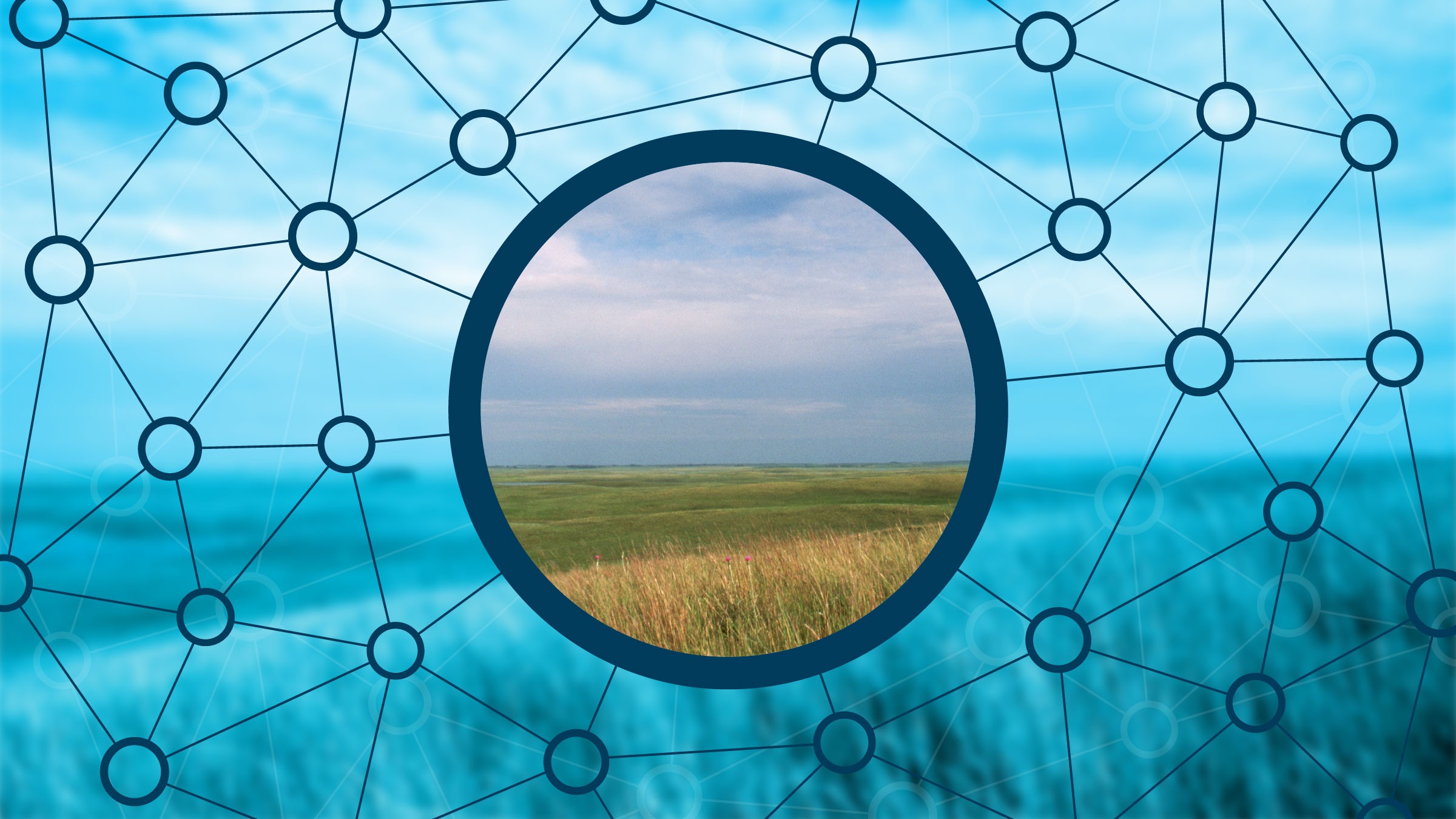 Connecting lines in front of an image of a field