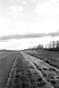 Rural Highway