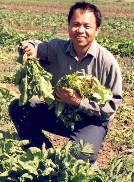 Vang Yang