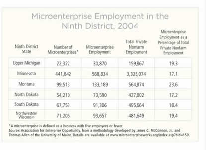 Microenterprise Employment in the Ninth District, 2004