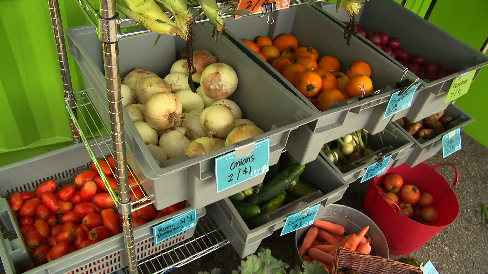 CityKid Farm produce, one-column image