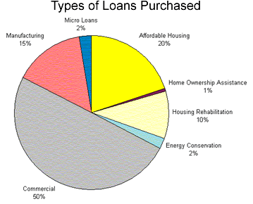 Chart: Types of Loans Purchased