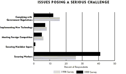 Chart: Issues Posing a Serious Challenge