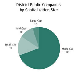 Chart: District Public Companies by Capitalization Size