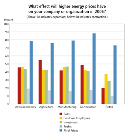 Chart: What effect will higher energy prices have on your company or organization in 2006?