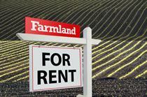 Image: Farmland for Rent Sign