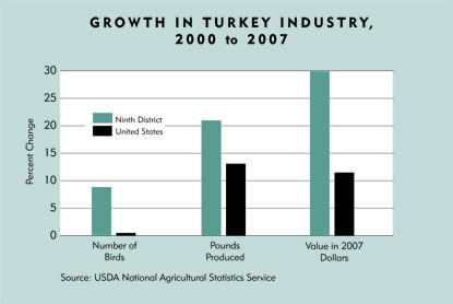 Chart: Growth in Turkey Industry, 2000 to 2007