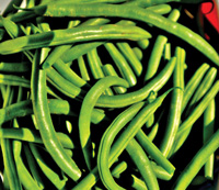 Green beans
