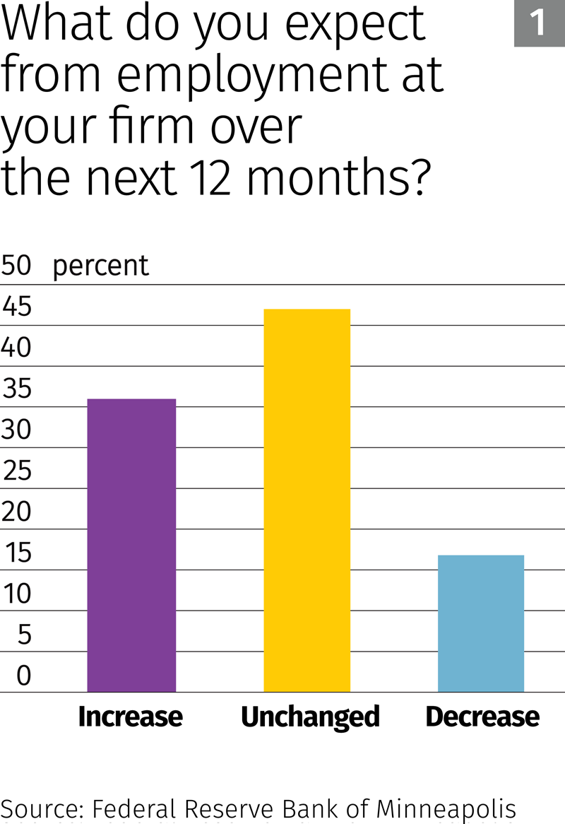 what-do-you-expect-from-employment-at-your-firm-over-the-next-12-months