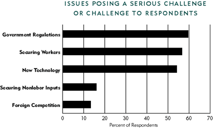 Chart: Issues Posing a Serious Challenge or Challenge to Respondents