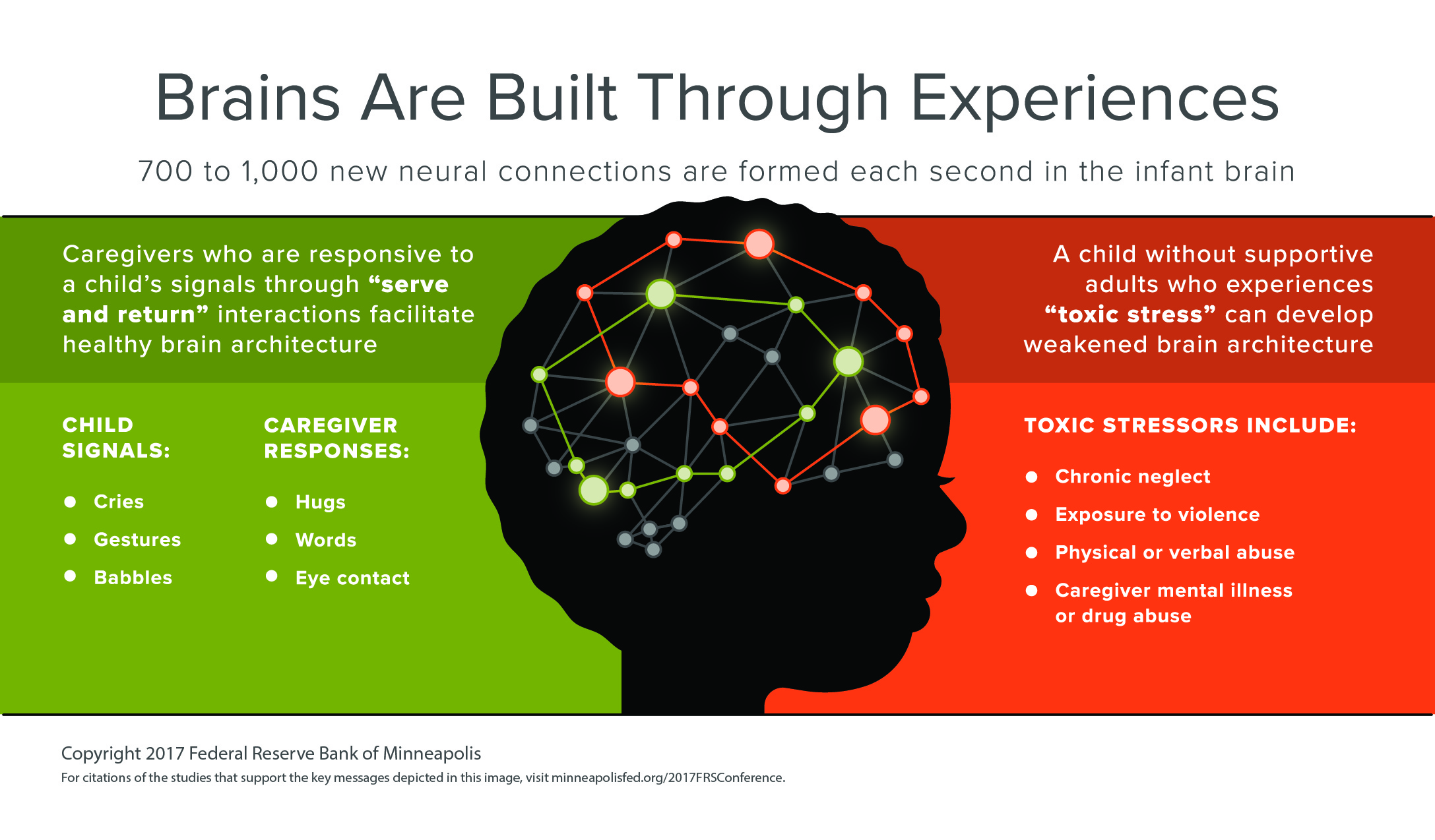 Brains Are Built Through Experiences