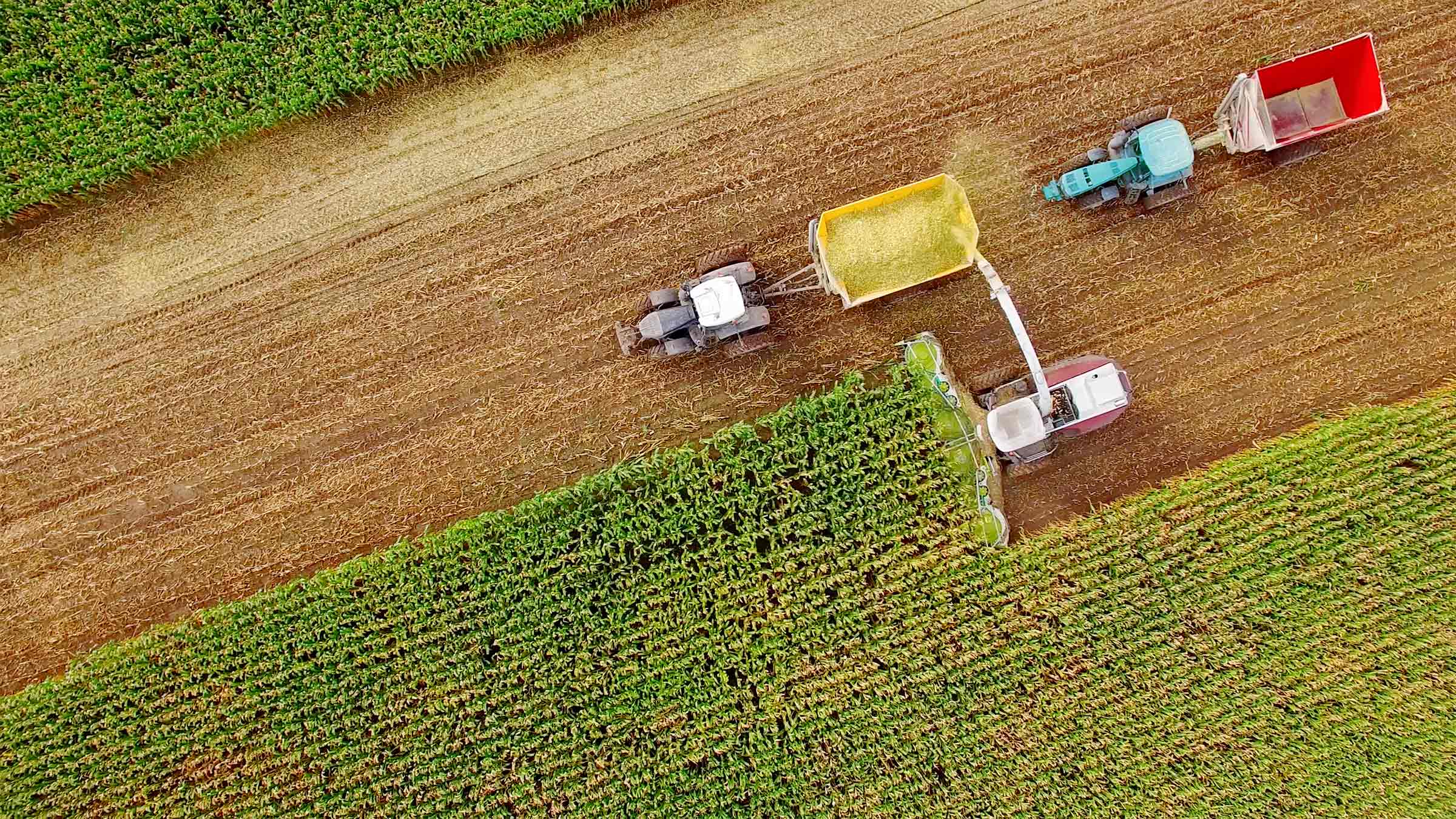 Agricultural outlook improves on good harvests, federal aid key image