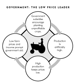 Government: The Low Price Leader