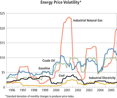 Chart: Energy Price Volatility, 1996-2005