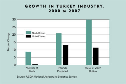 Turkey Feed Consumption Chart