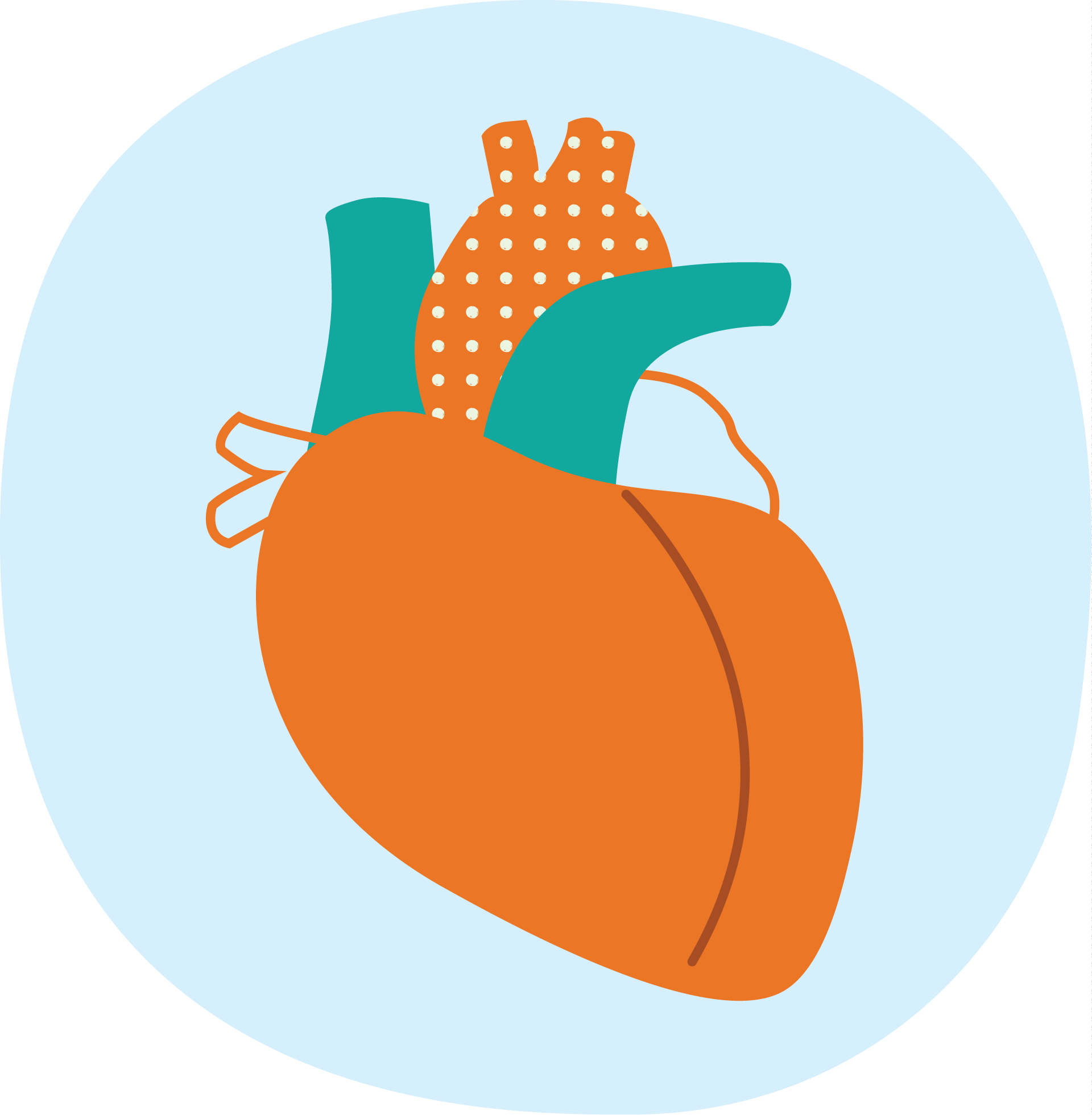 Writing a business plan to support a cardiac service
