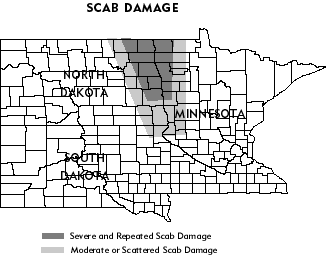 map showing areas of scab damage