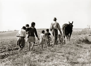 Photo: Plowing fields